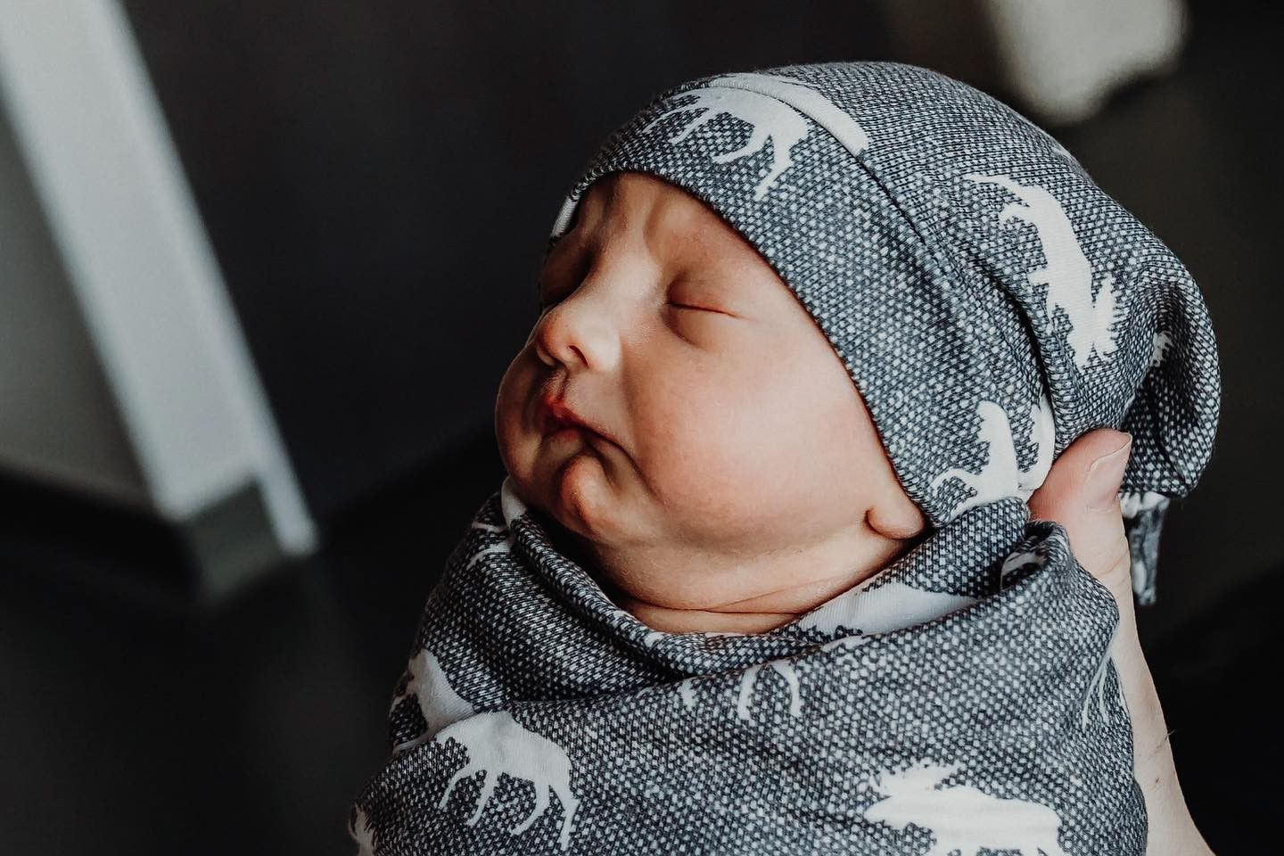 Newborn baby wrapped in a gray and white deer-patterned swaddle blanket sleeping peacefully.