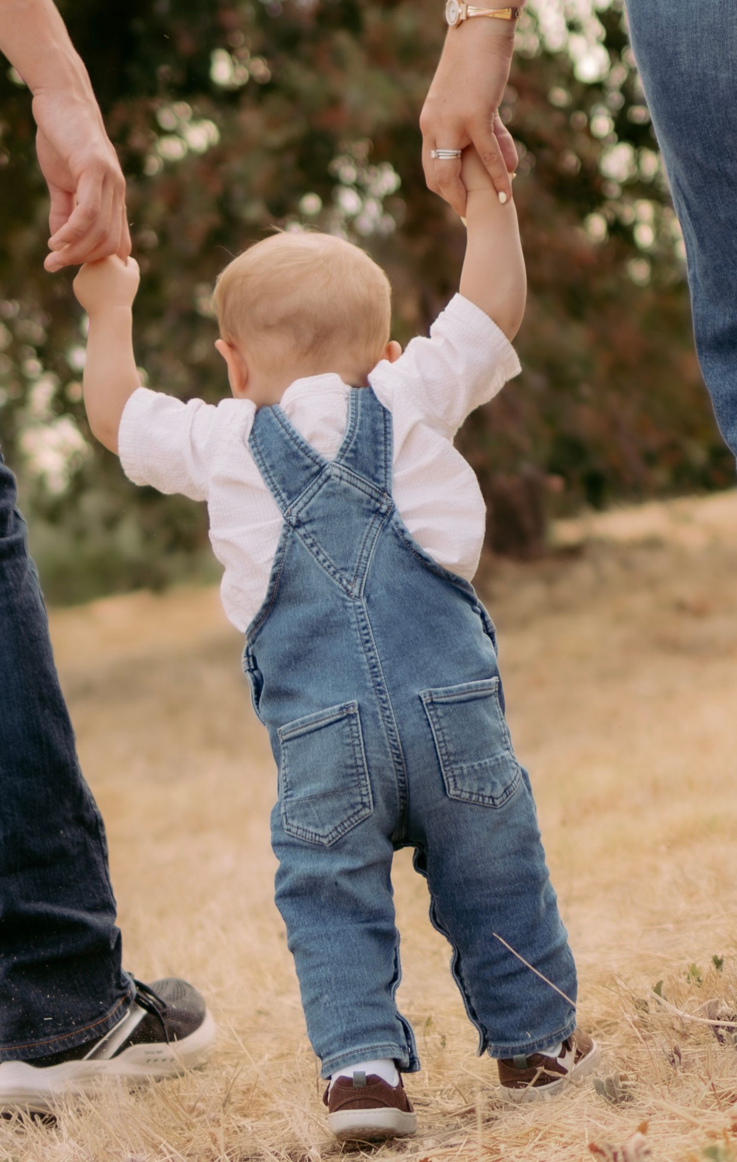 Close-up of toddler in denim overalls holding parents hands on dry grass field.