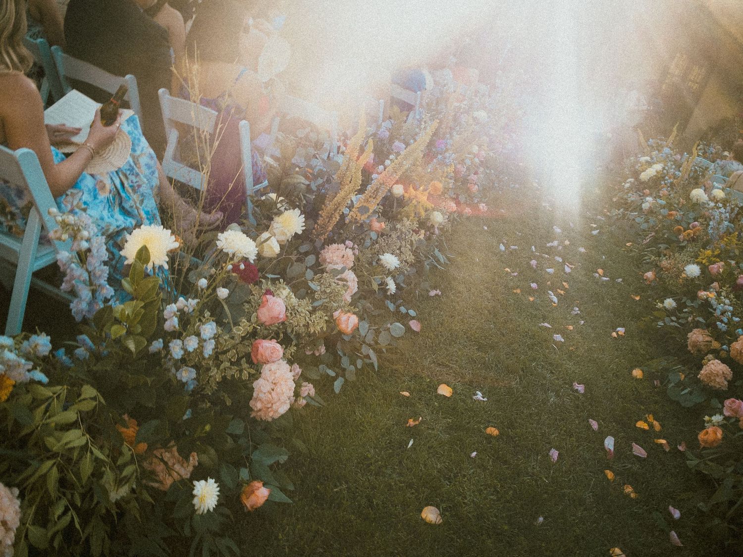 Sunlit garden scene with floating flower petals creating a dreamy atmosphere.