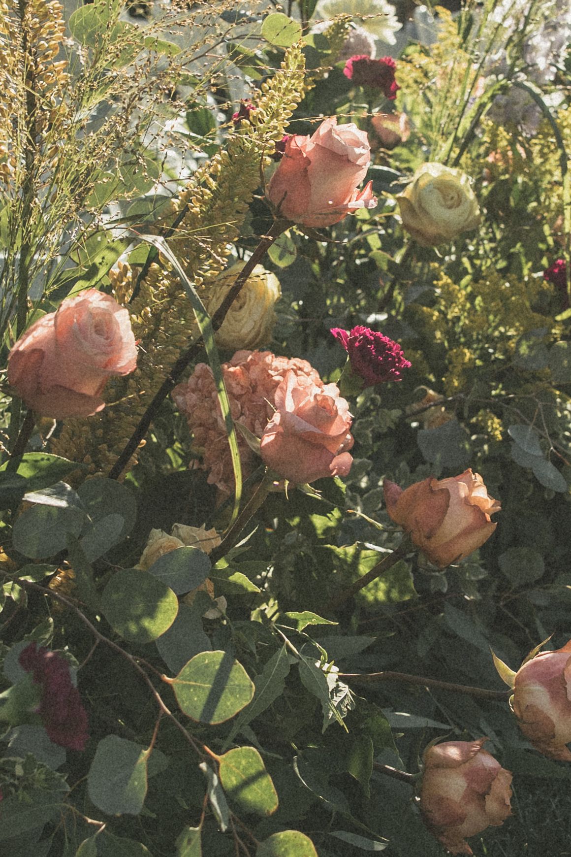 Delicate pink roses and wildflowers bloom in a lush garden setting with natural sunlight.