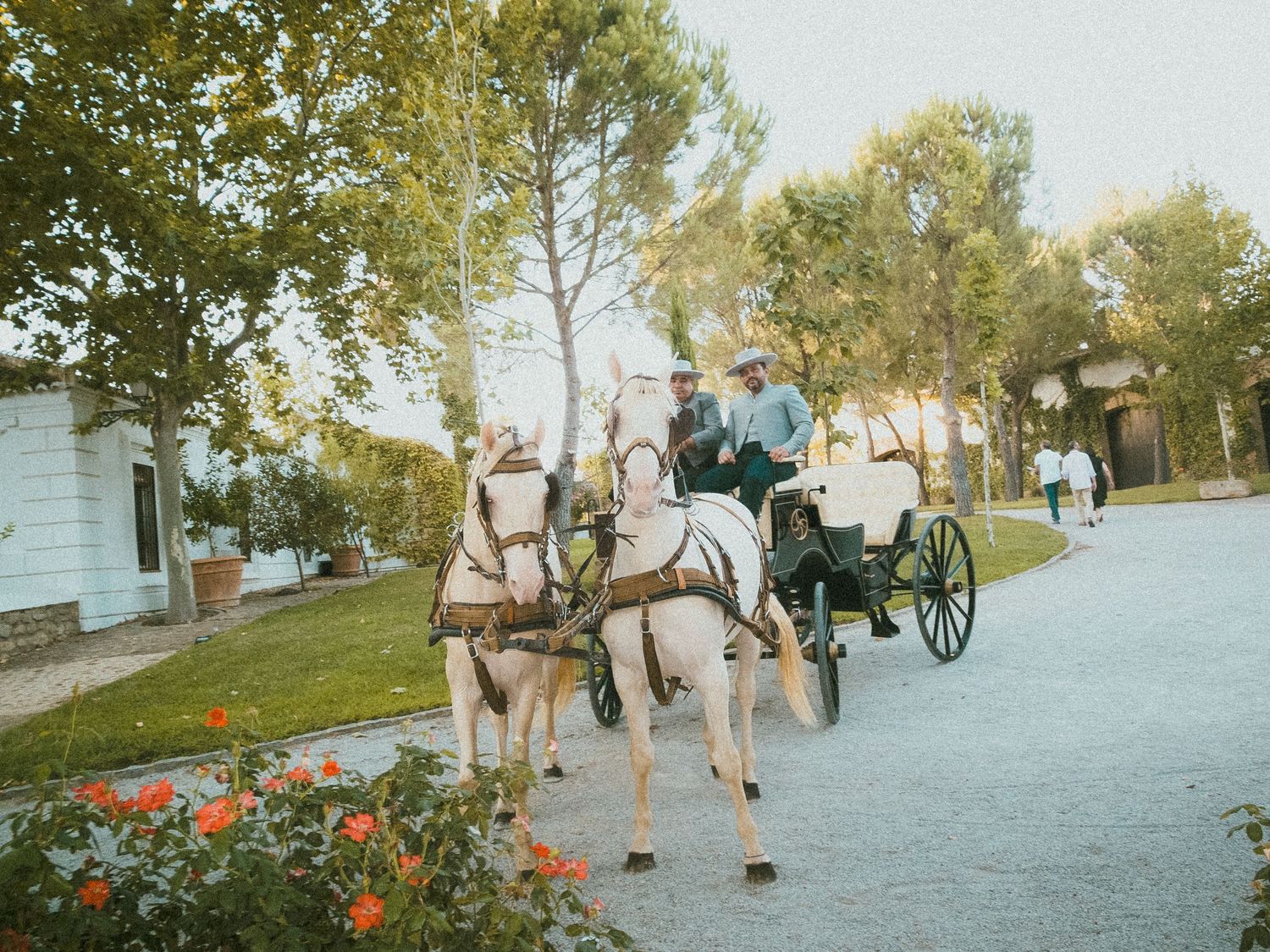 Horse-drawn carriage and guests on a tree-lined path at an outdoor event.