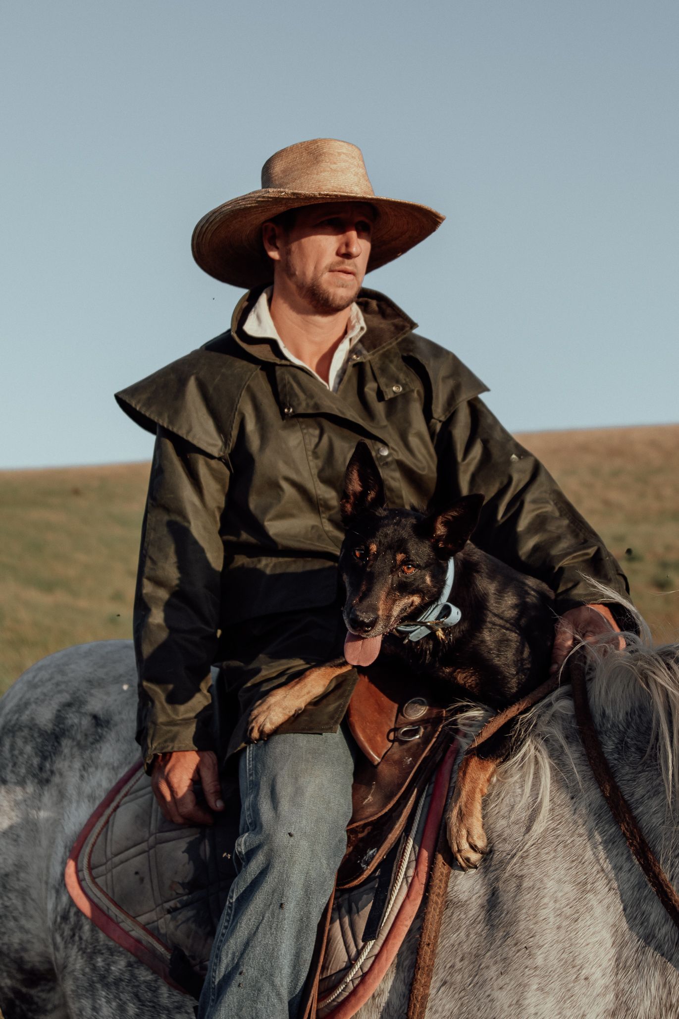 Cowboy in a wide-brim hat and dark jacket sits on a gray horse holding a dog in a green field.