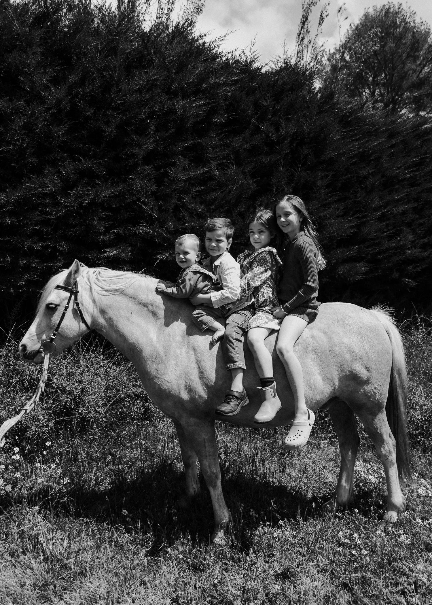 A white horse stands in a grassy meadow with riders on its back in a series of black and white photographs.