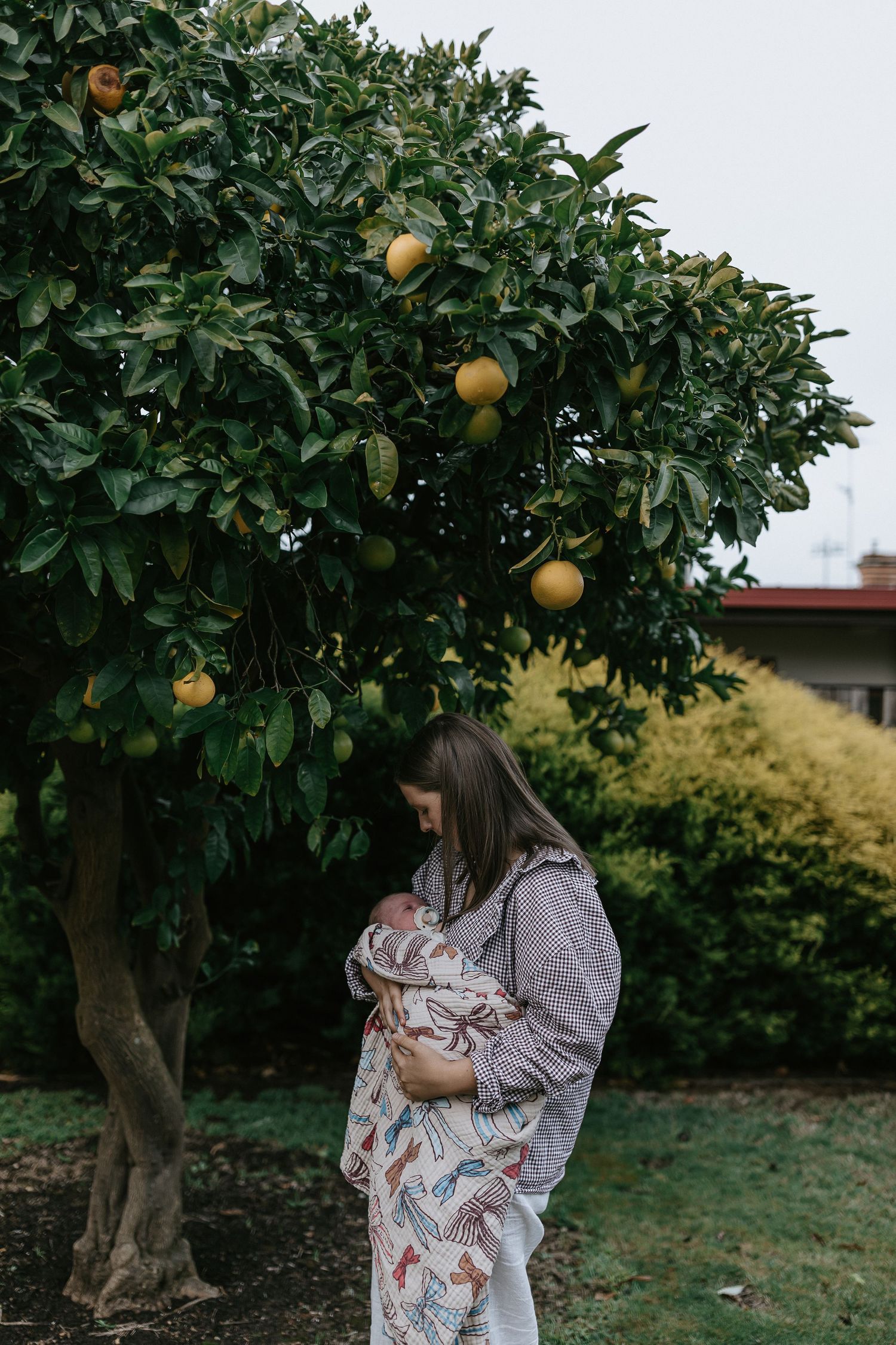 Orange citrus fruits growing on lush green trees in a garden orchard at dusk as a mother stands underneath with her baby.