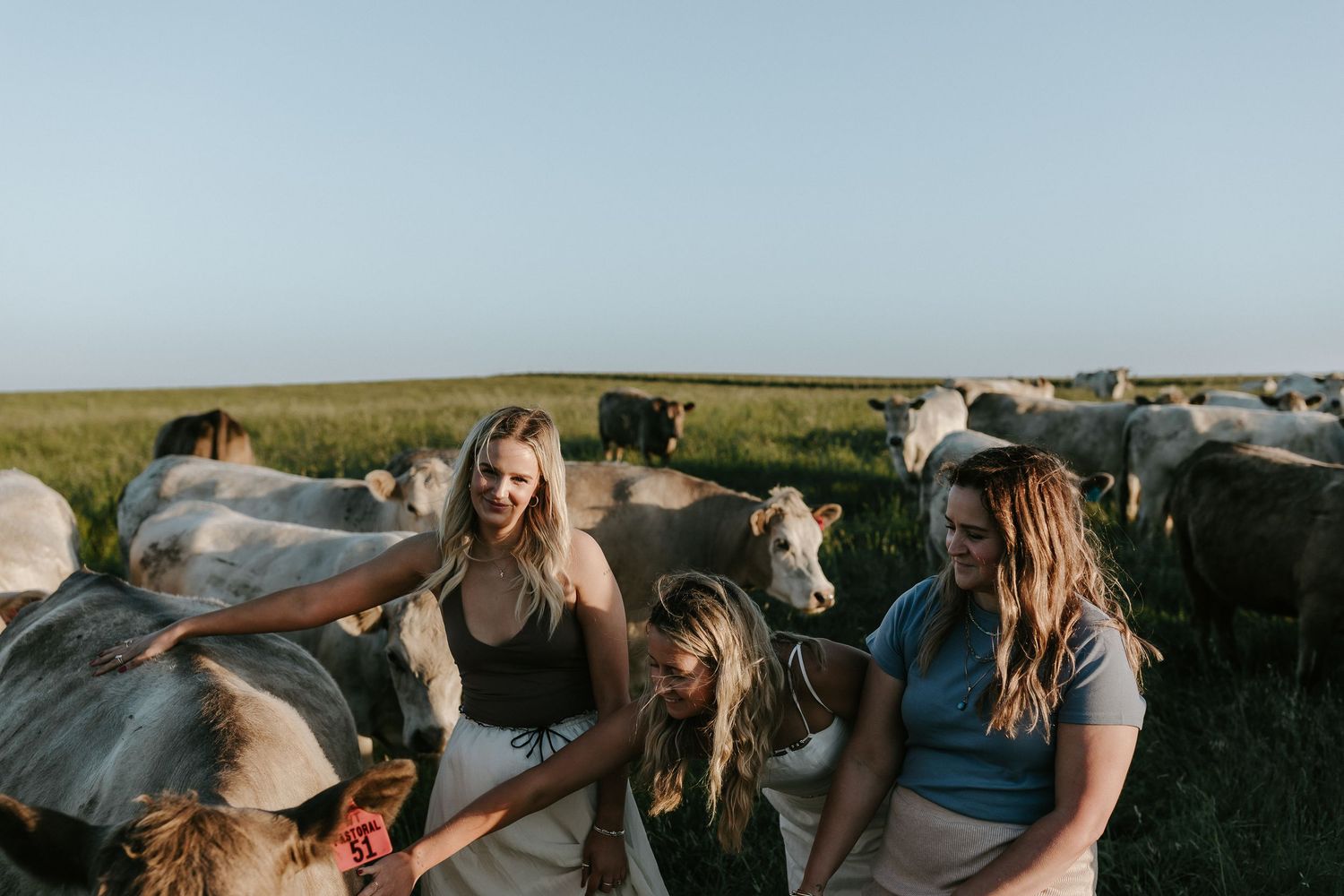 Group of friends sitting together in a grassy field during sunset while enjoying each other's company.