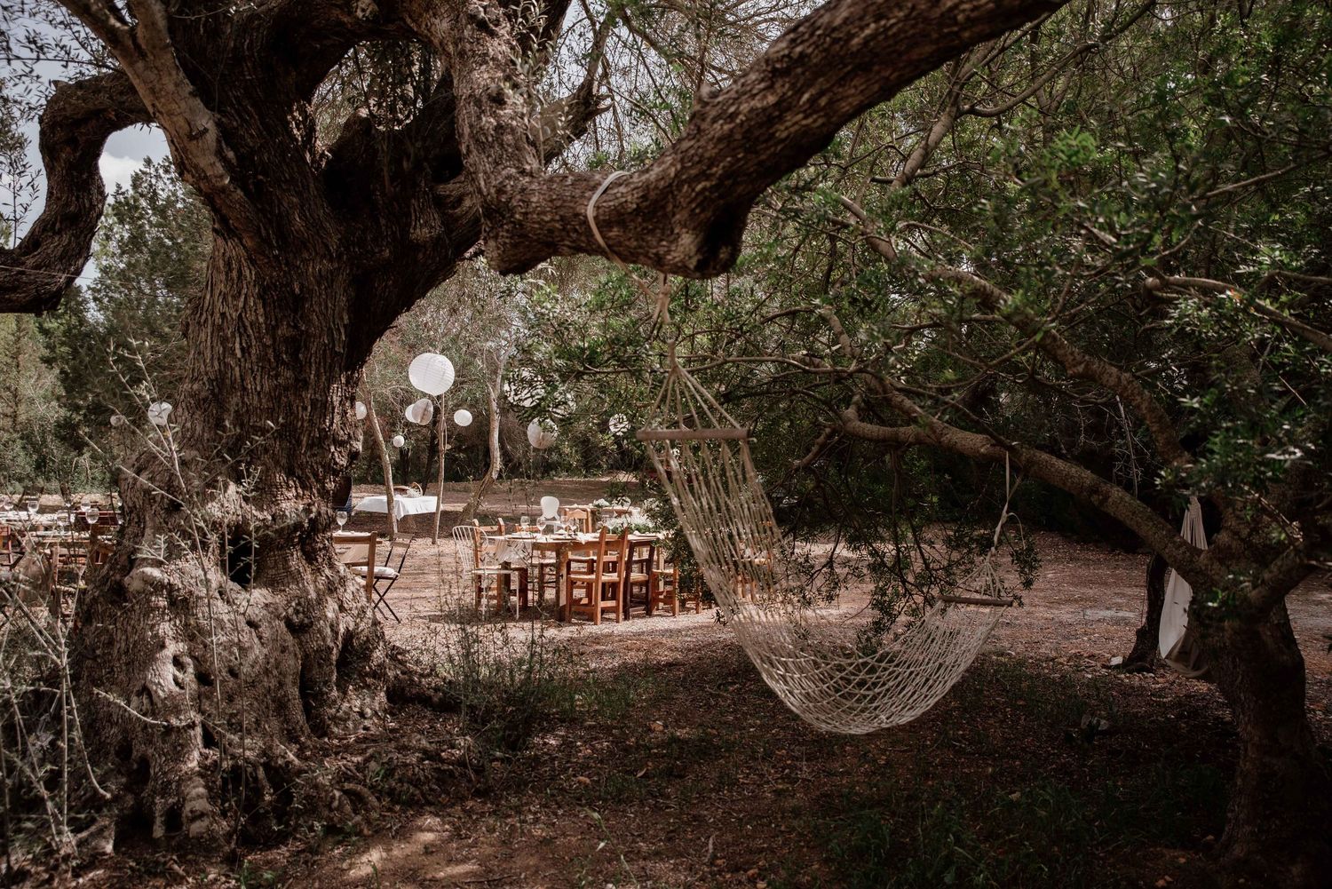VENUS WEDDING IBIZA