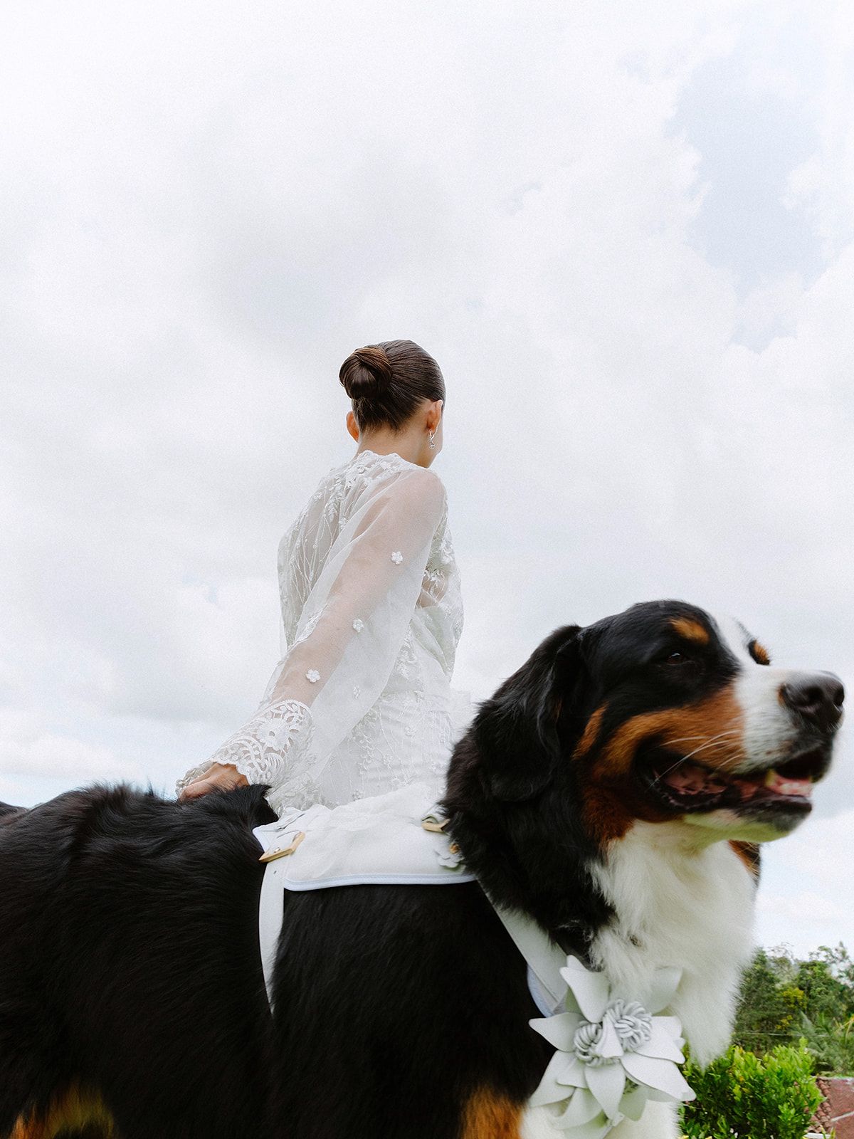 Bride in white dress standing with Bernese Mountain Dog under cloudy sky.