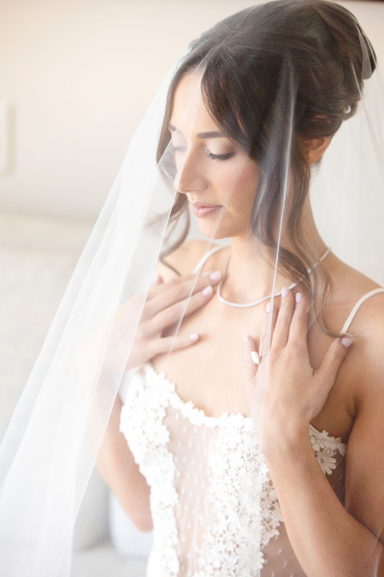 Ethereal bridal portrait in soft light showing delicate lace wedding dress and flowing veil with romantic styling.