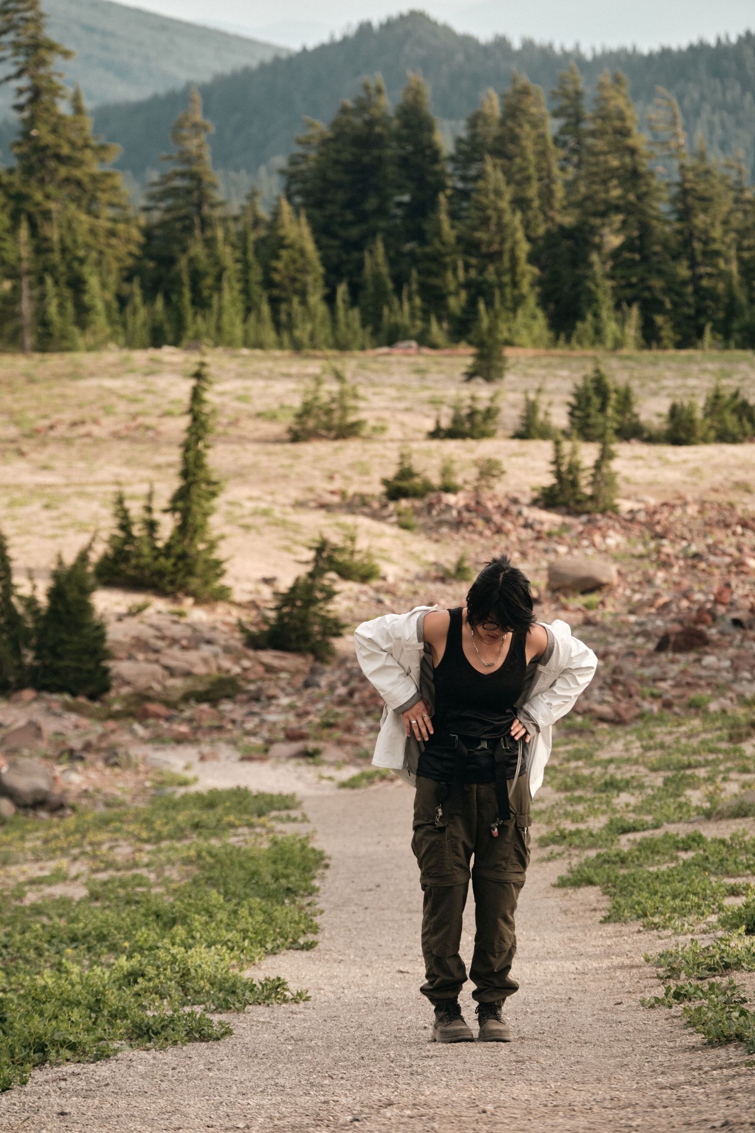 Hiking trail winding through alpine meadow with evergreen forest in background.