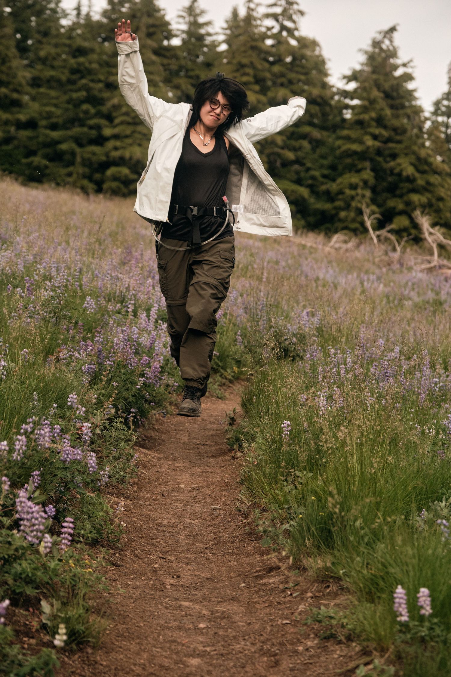 Dirt hiking trail winding through purple lupine wildflowers and mountain meadow.