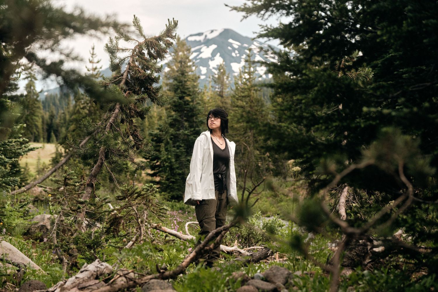 Mountain landscape with evergreen trees and distant snow-covered peaks.