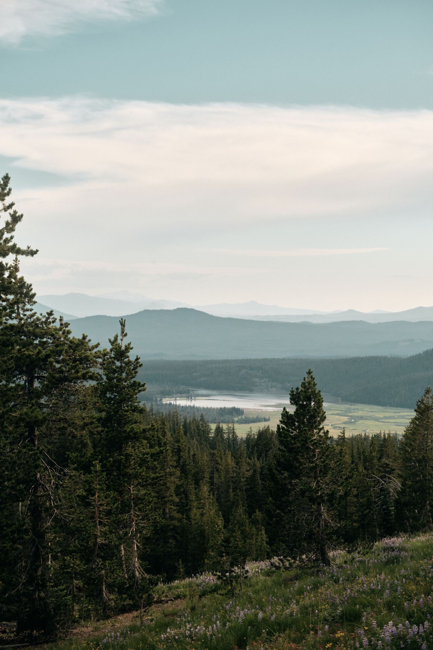 Mountain landscape with evergreen forest and distant valley views under cloudy skies.