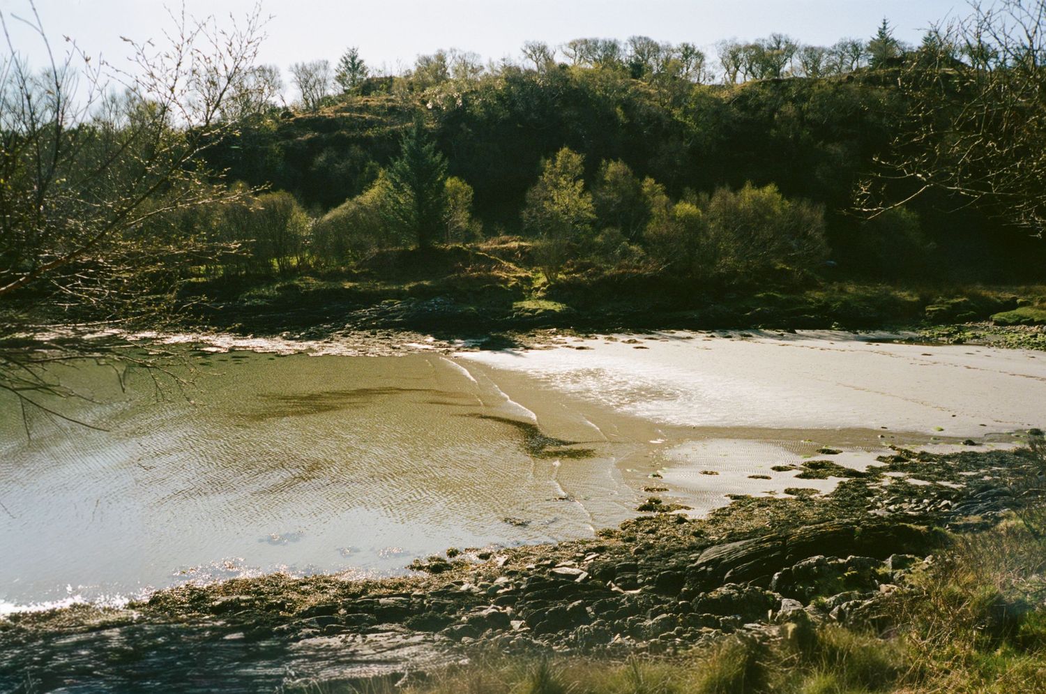 A tranquil river estuary with sandy banks surrounded by lush green trees and rocky shoreline on a sunny day.