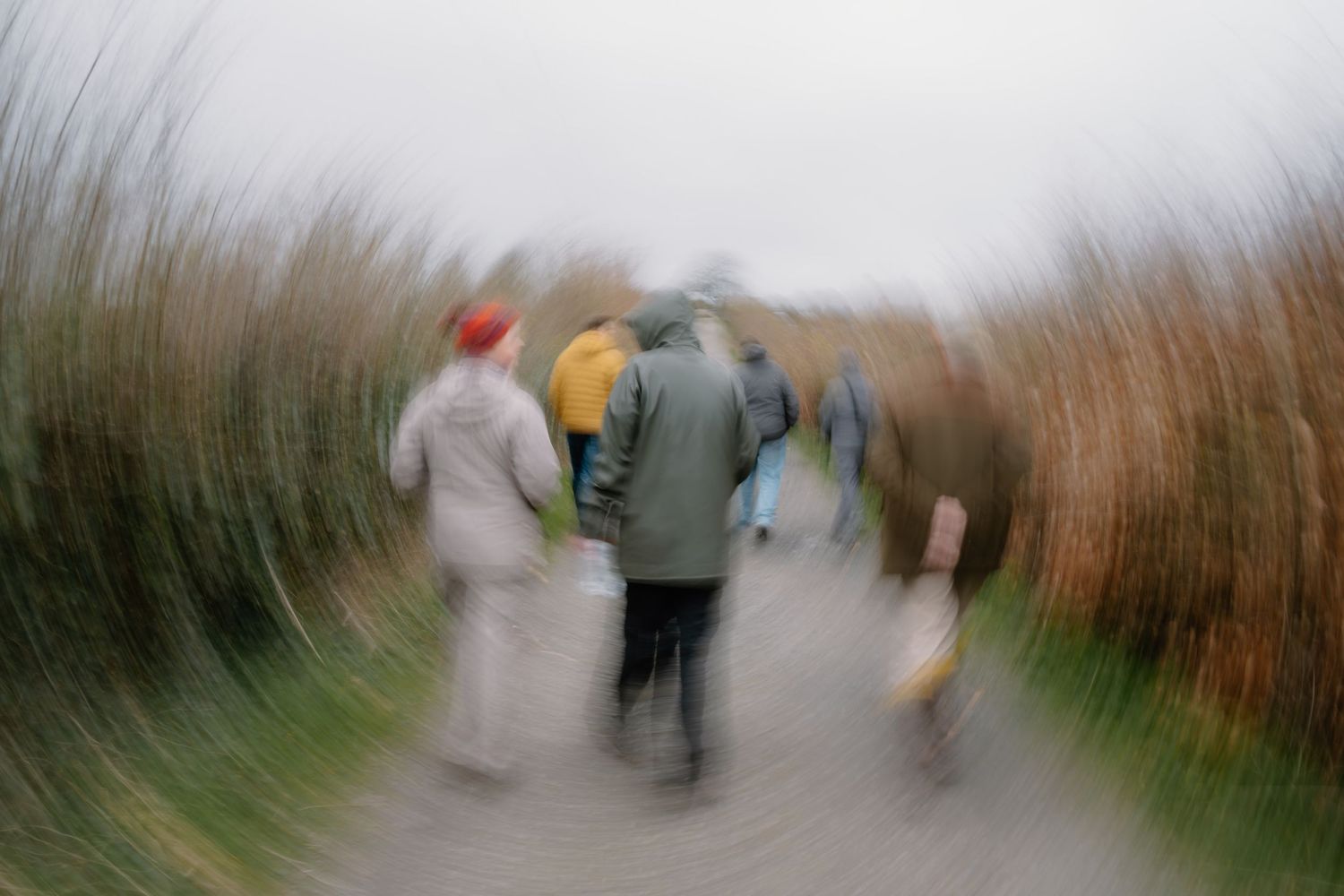 Group of people walking along a narrow path through tall grass on a cloudy day, captured with motion blur effect.