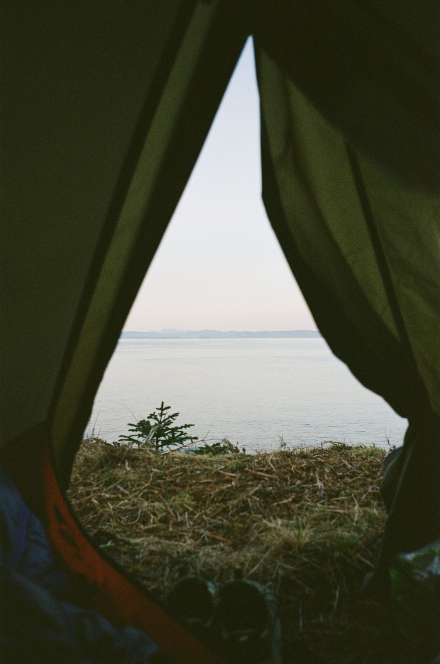 View from inside a green camping tent overlooking a serene coastal landscape with calm water and a small evergreen tree.