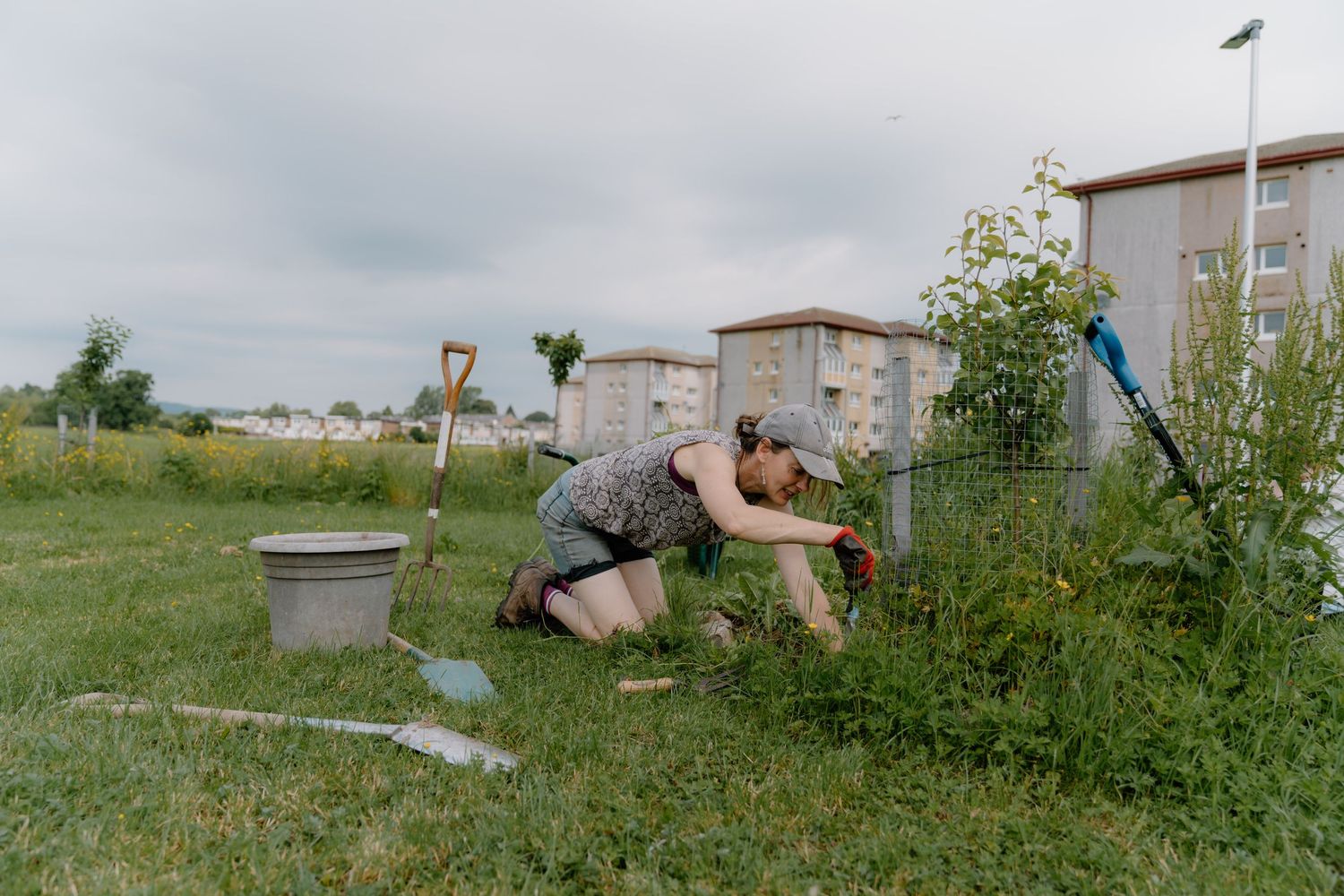 Woman kneeling in a community garden, tending to plants near a fence on a cloudy day.