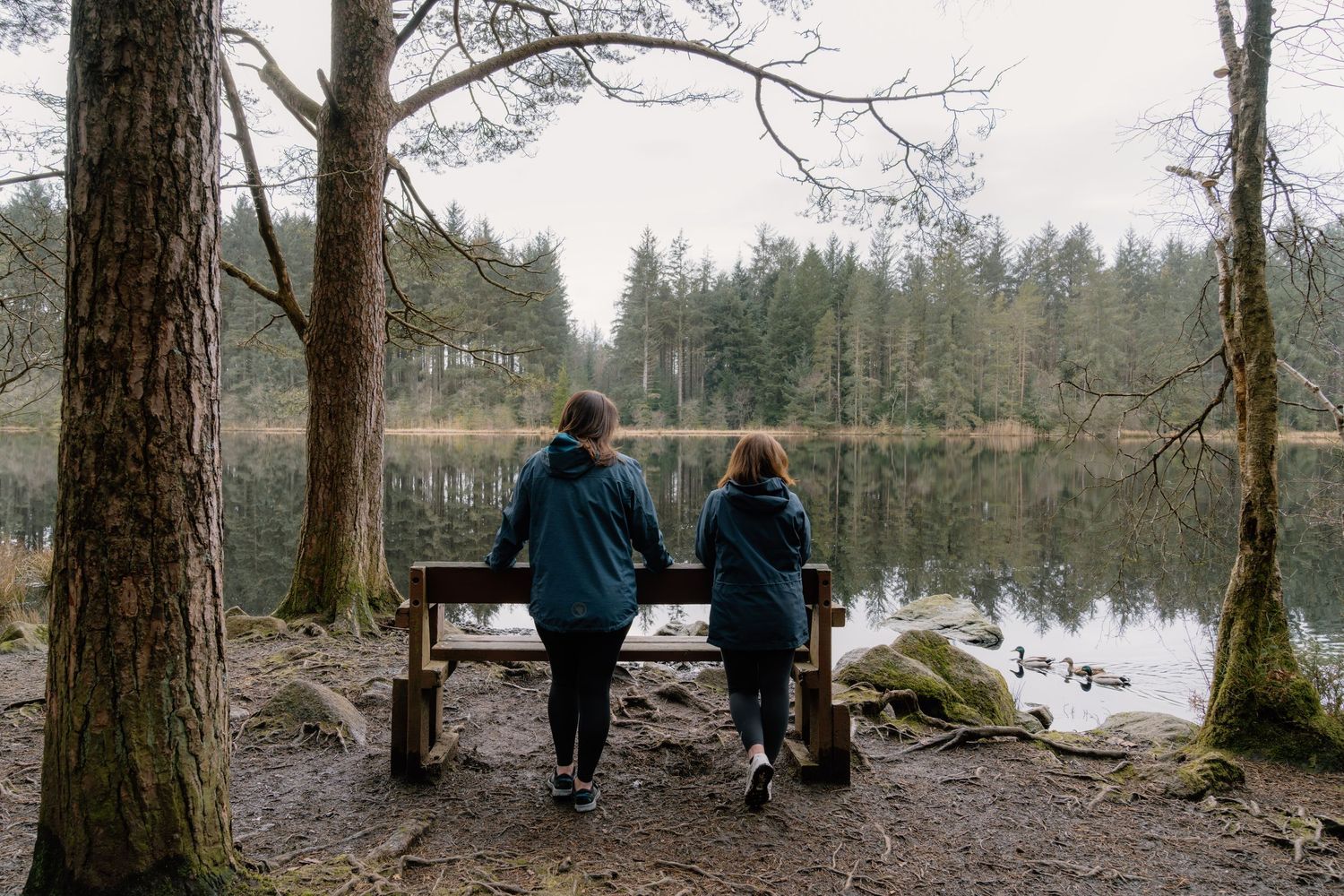 Two people sitting on a bench by a tranquil forest lake, watching ducks on the water among tall trees.