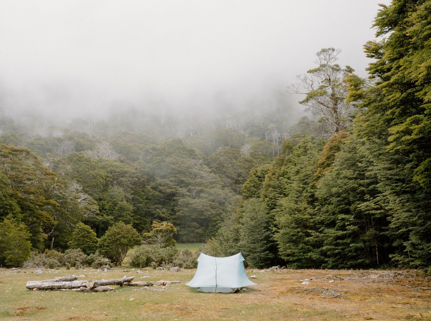 A panoramic view of a misty forest campsite with a blue tent nestled among tall trees in the wilderness.