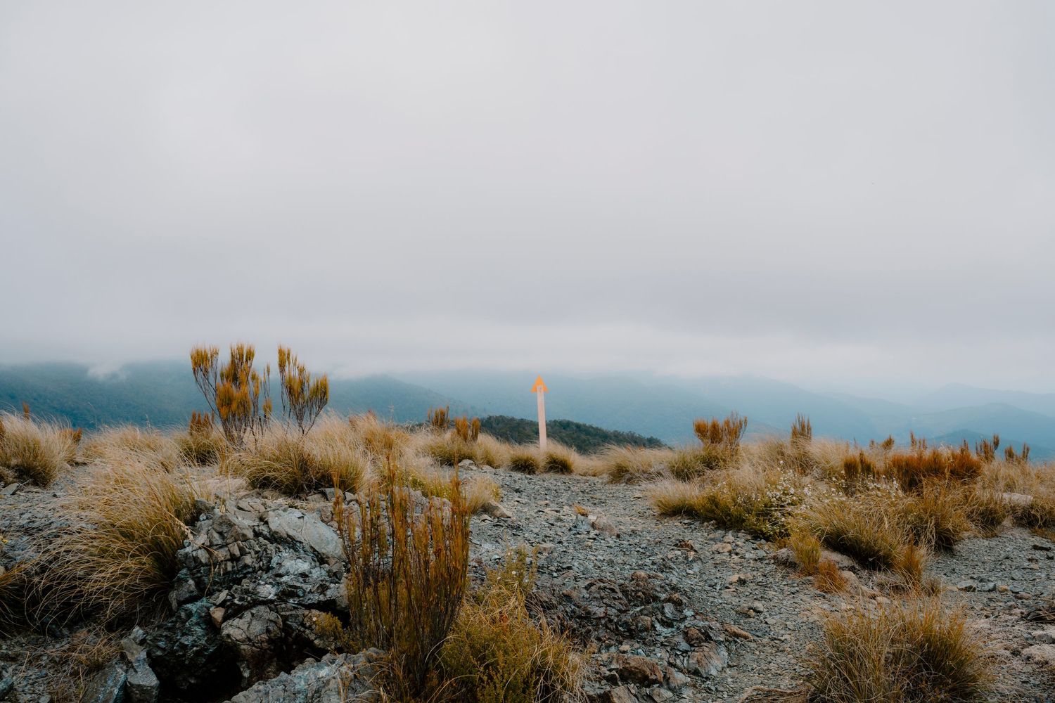 Panoramic mountain landscape with golden tufts of grass scattered across rocky terrain under a moody cloudy sky.