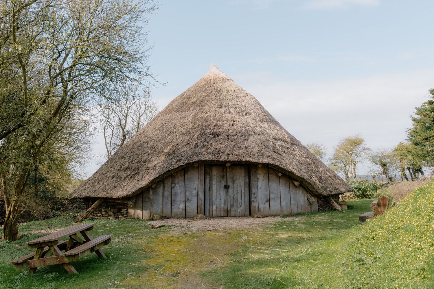 Ancient thatched roundhouse with wooden walls and conical roof, surrounded by bare trees and green grass on a cloudy day.