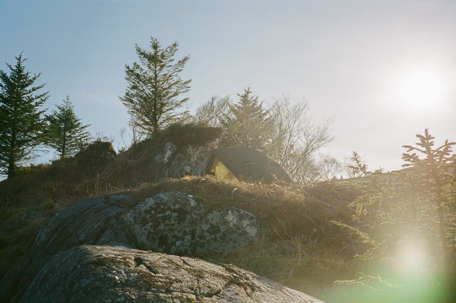 Sunlit rocky outcrop with evergreen trees against a bright blue sky in a scenic natural landscape.