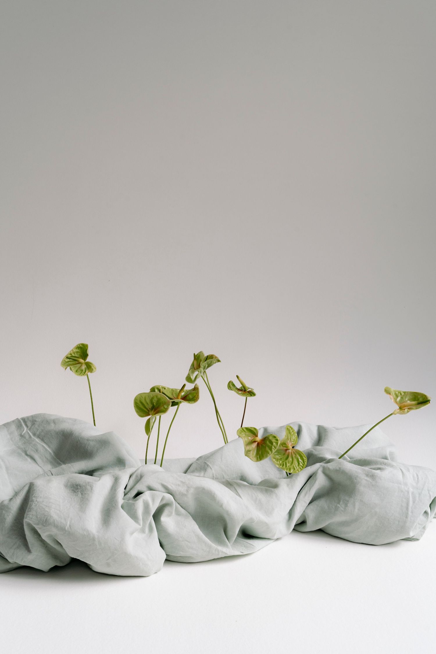 Valentina Oprandi: fotografo aziende Crema, Milano, Brescia, Bergamo.