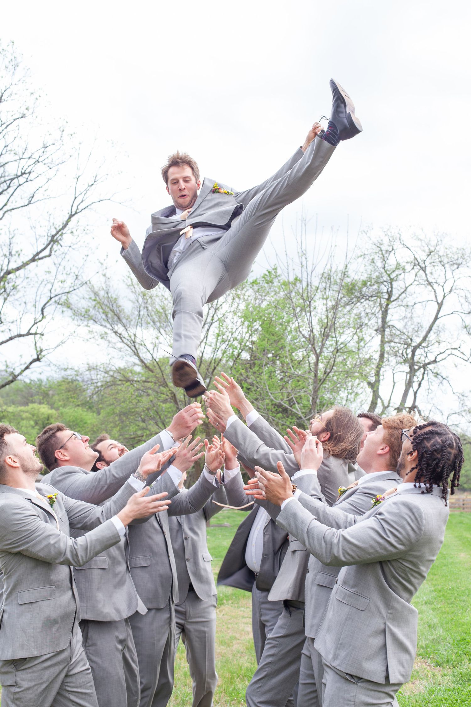 Groomsmen in gray suits tossing the groom into the air outdoors at a wedding celebration.