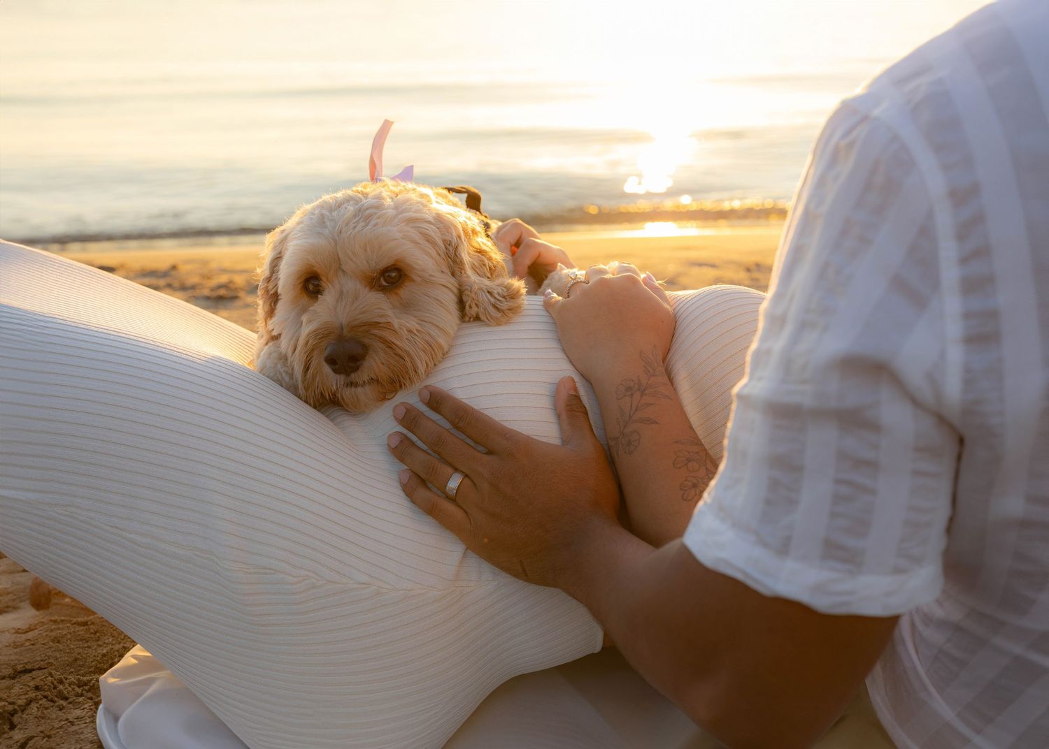 Golden hour beach maternity session with soft natural lighting and white dress.