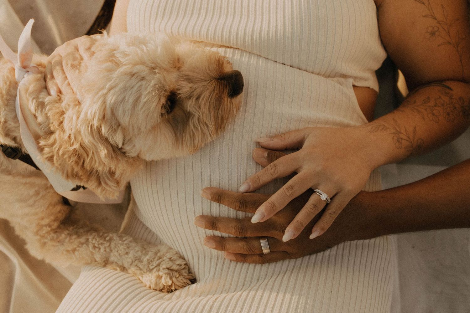 Close-up shots of hands cradling a pregnant belly in a cream-colored sweater.