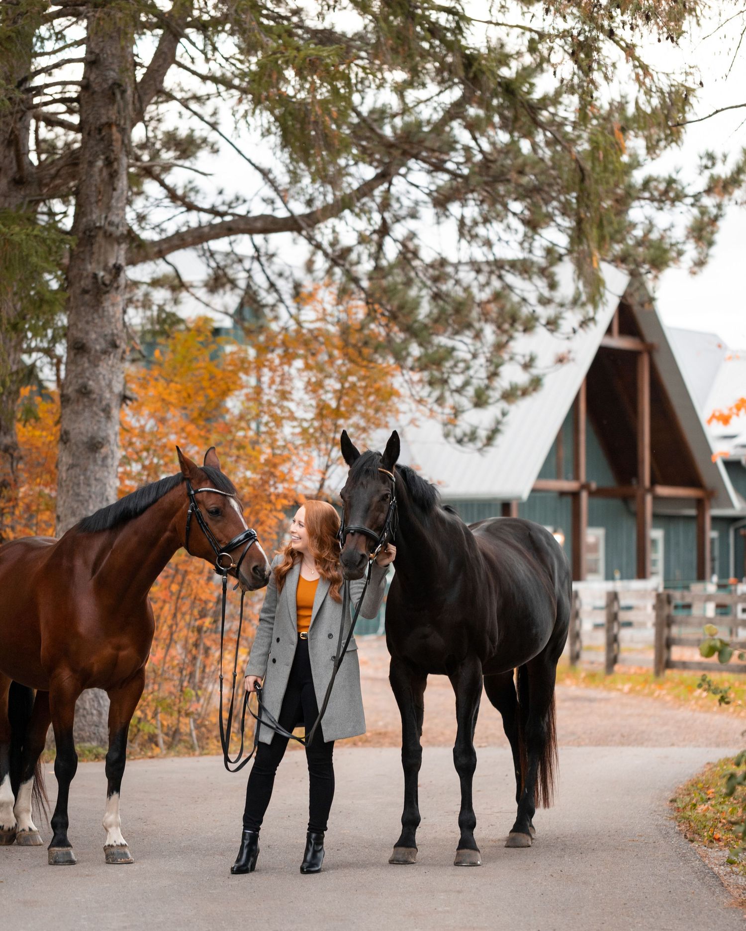 A line of saddled horses standing in front of rustic buildings during autumn.