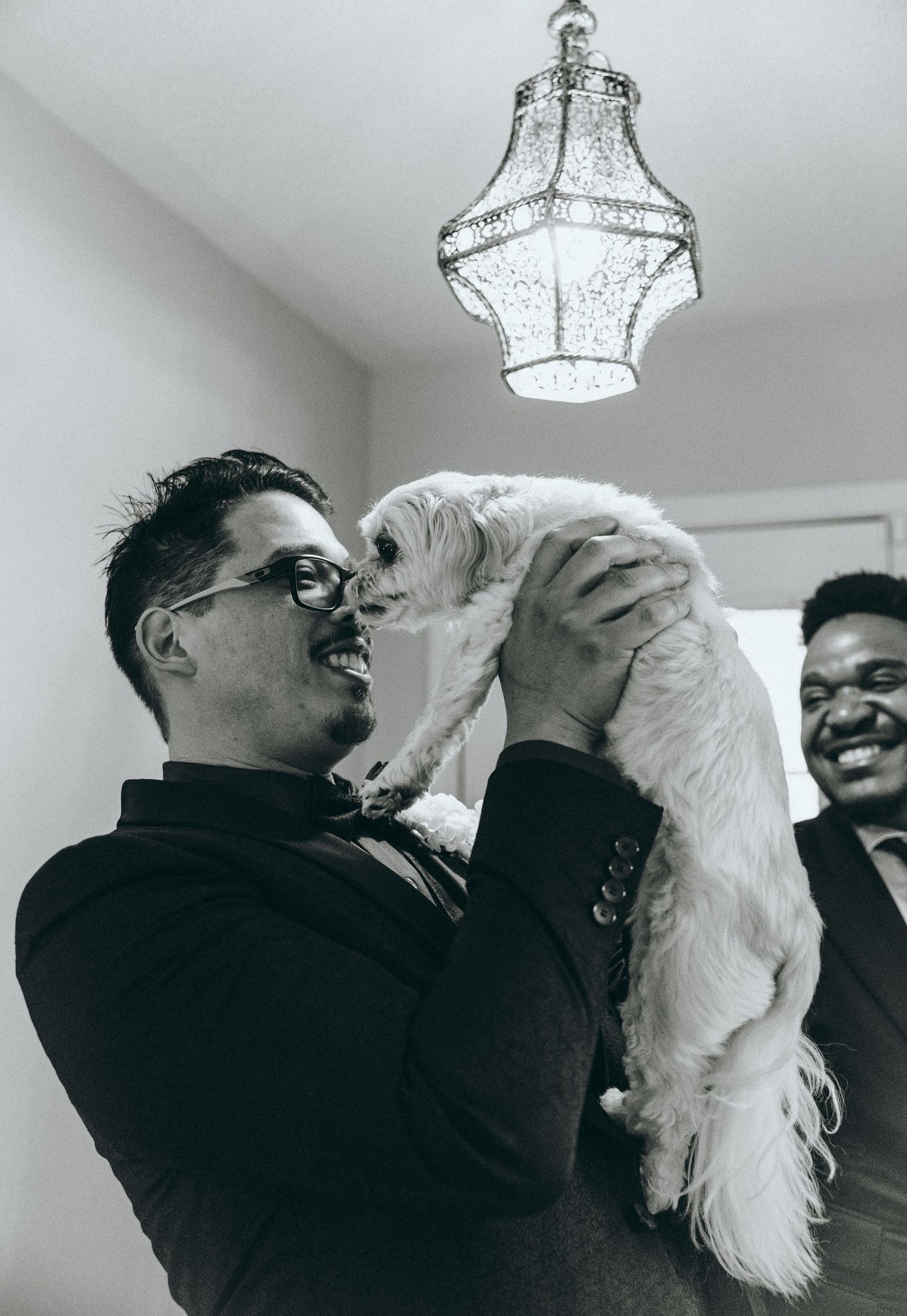 A person in black holds and plays with a small white dog under crystal chandeliers.