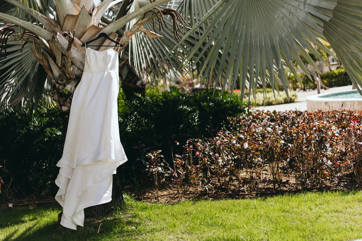 White wedding dress hanging elegantly against palm fronds in natural outdoor lighting.