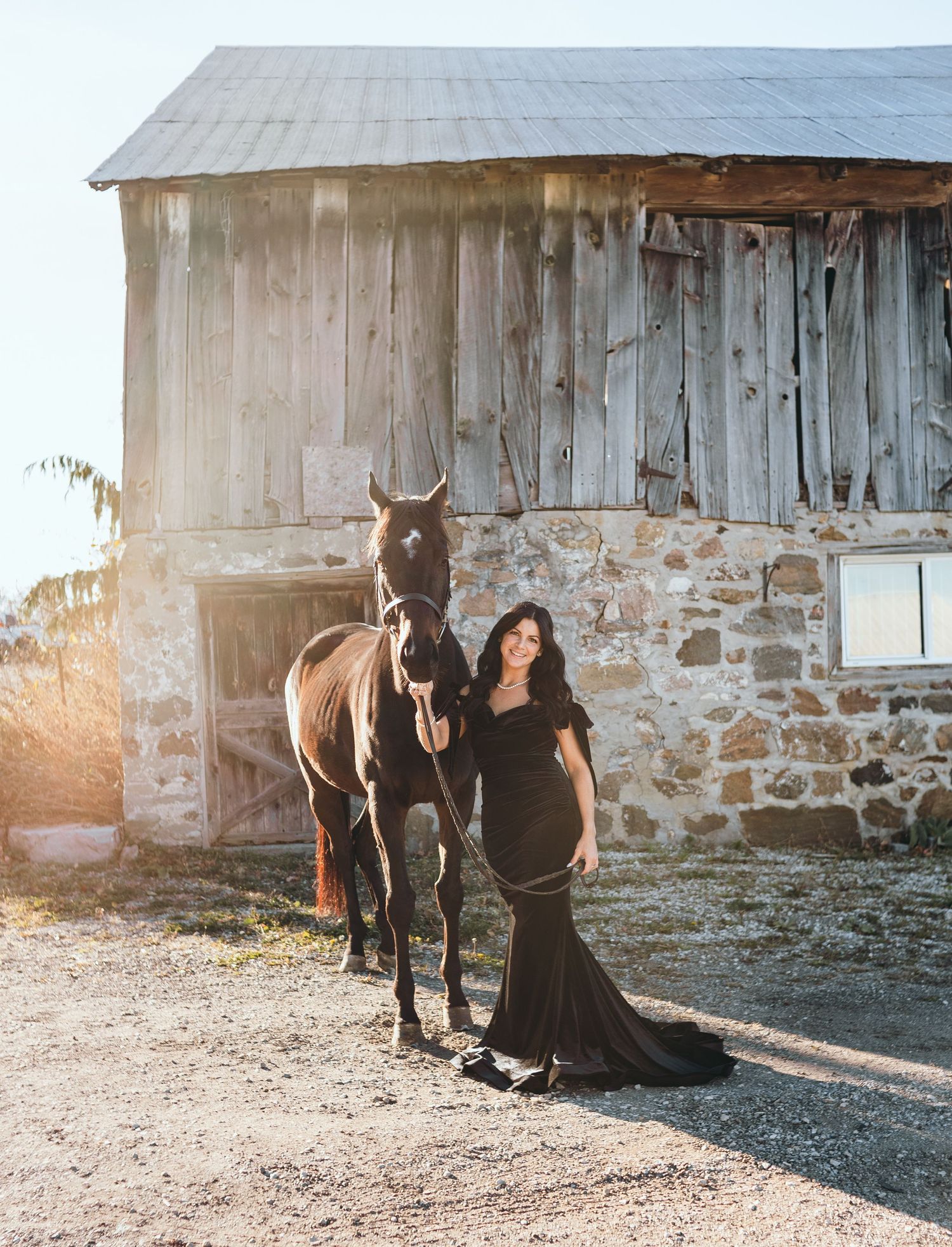 Horses standing near a rustic barn during golden hour.