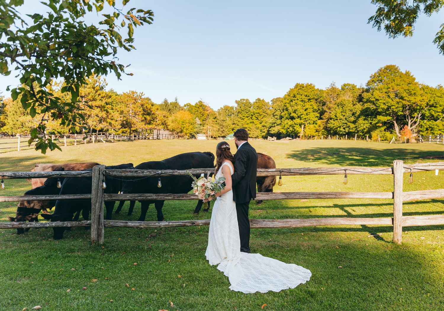 A romantic wedding photo against a rustic fence with rolling countryside in the background.
