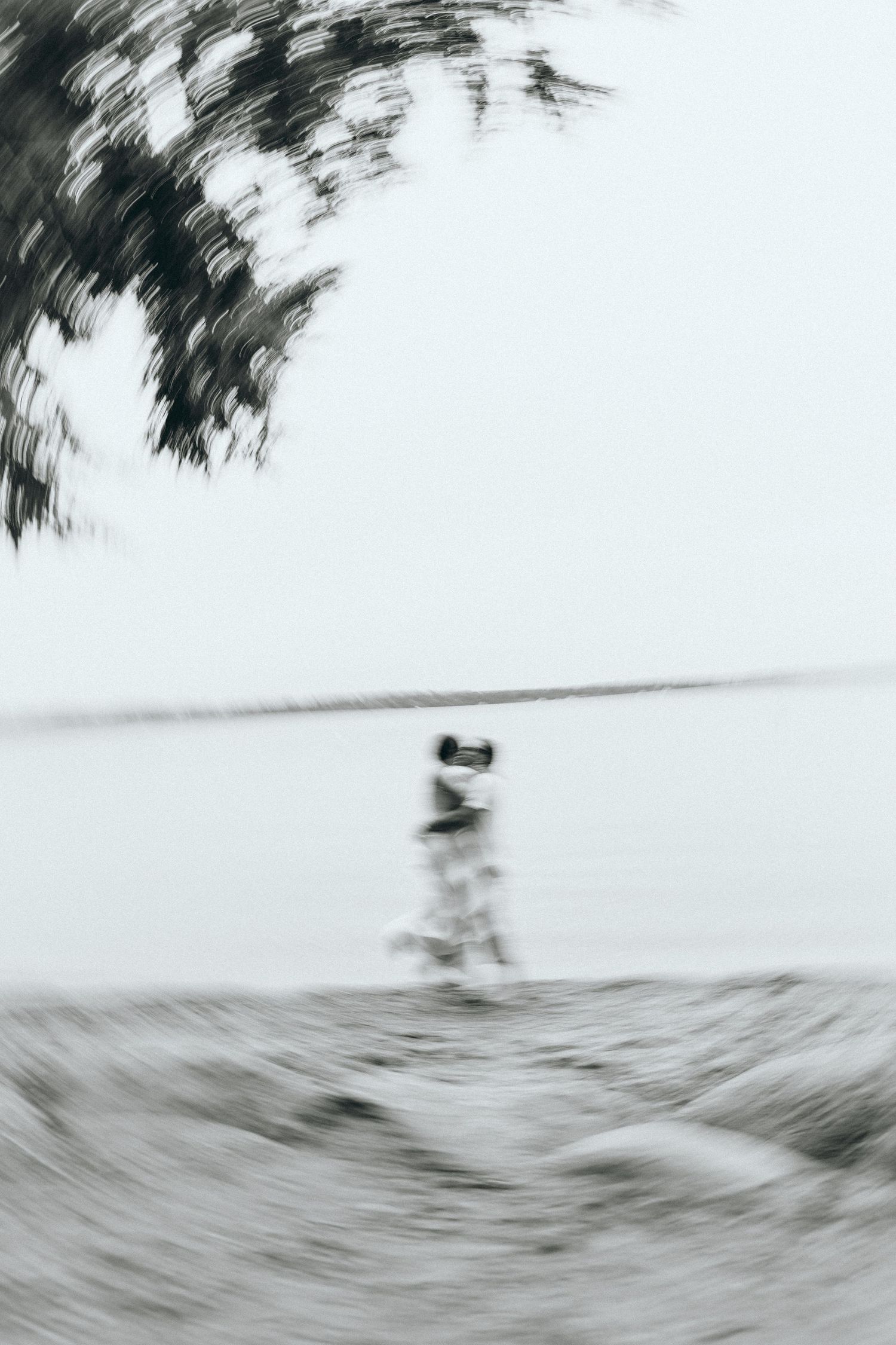 Abstract black and white motion blur photograph of a winter landscape with trees and snow.