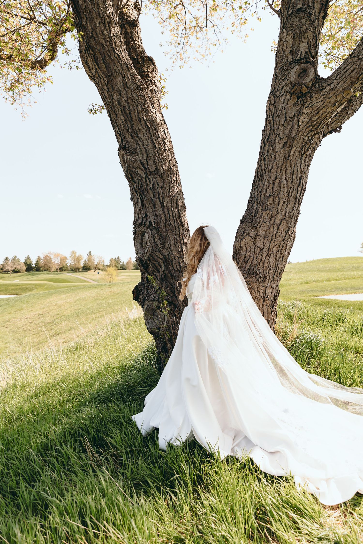 Flowing white wedding dress train cascades beautifully against a large tree trunk.
