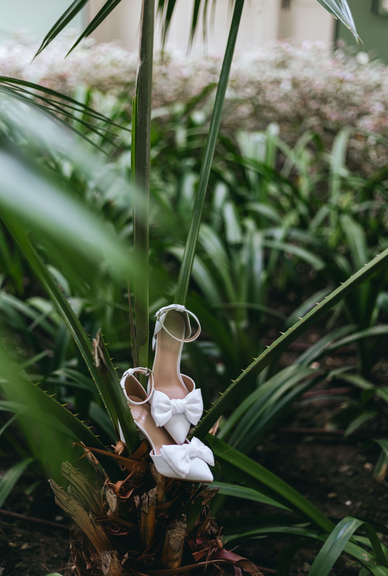 White bridal shoes with bows photographed artistically among tropical palm leaves.