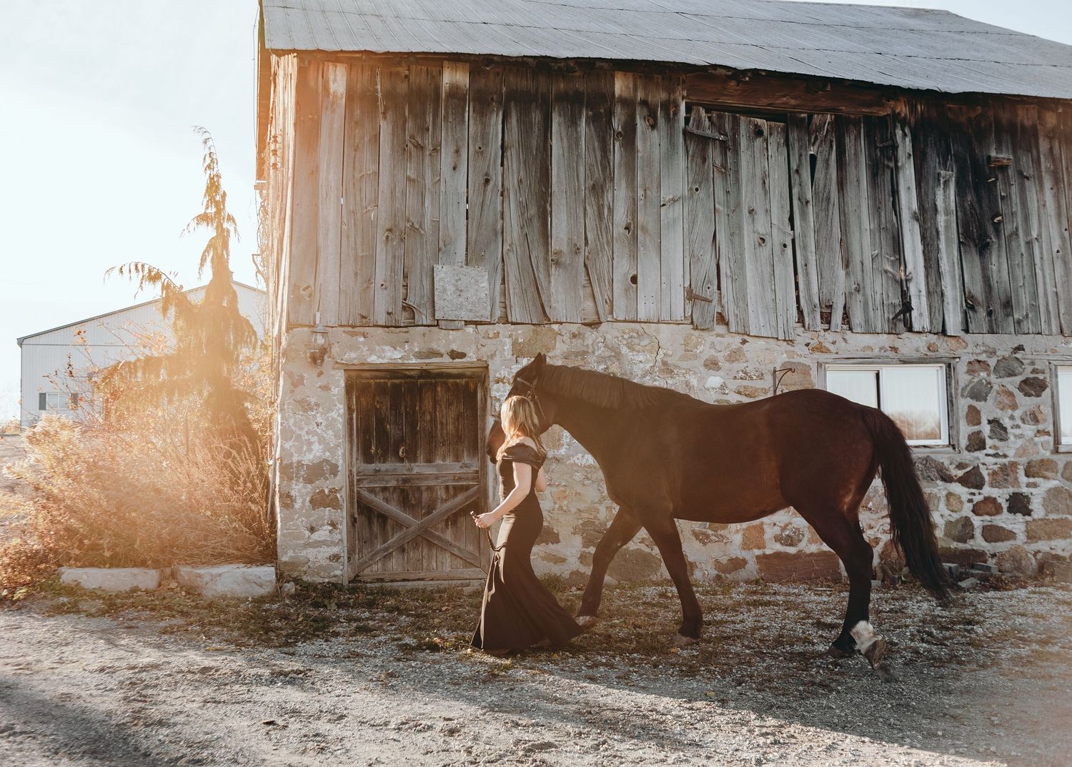 Rustic barn exterior with horses at sunset creating a warm atmospheric scene.
