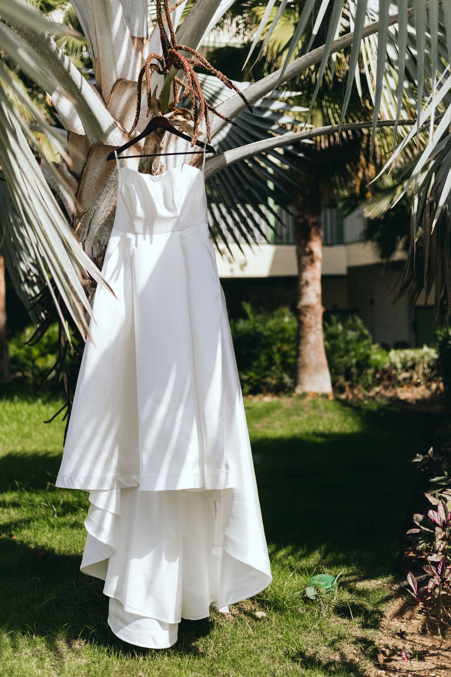 A white wedding dress hangs elegantly from a palm tree in tropical garden setting.