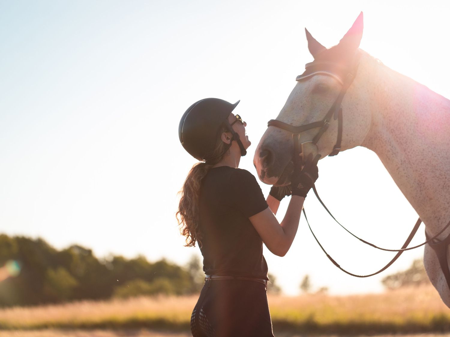 Silhouette of a person with a horse during golden hour in a field.