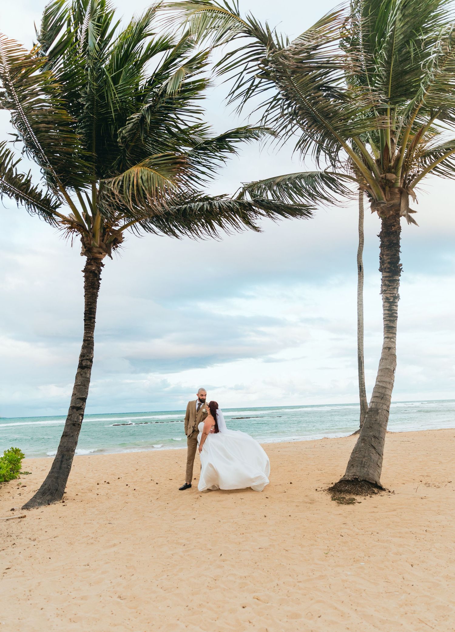 Palm trees sway on a tropical beach with wedding couple in the distance.