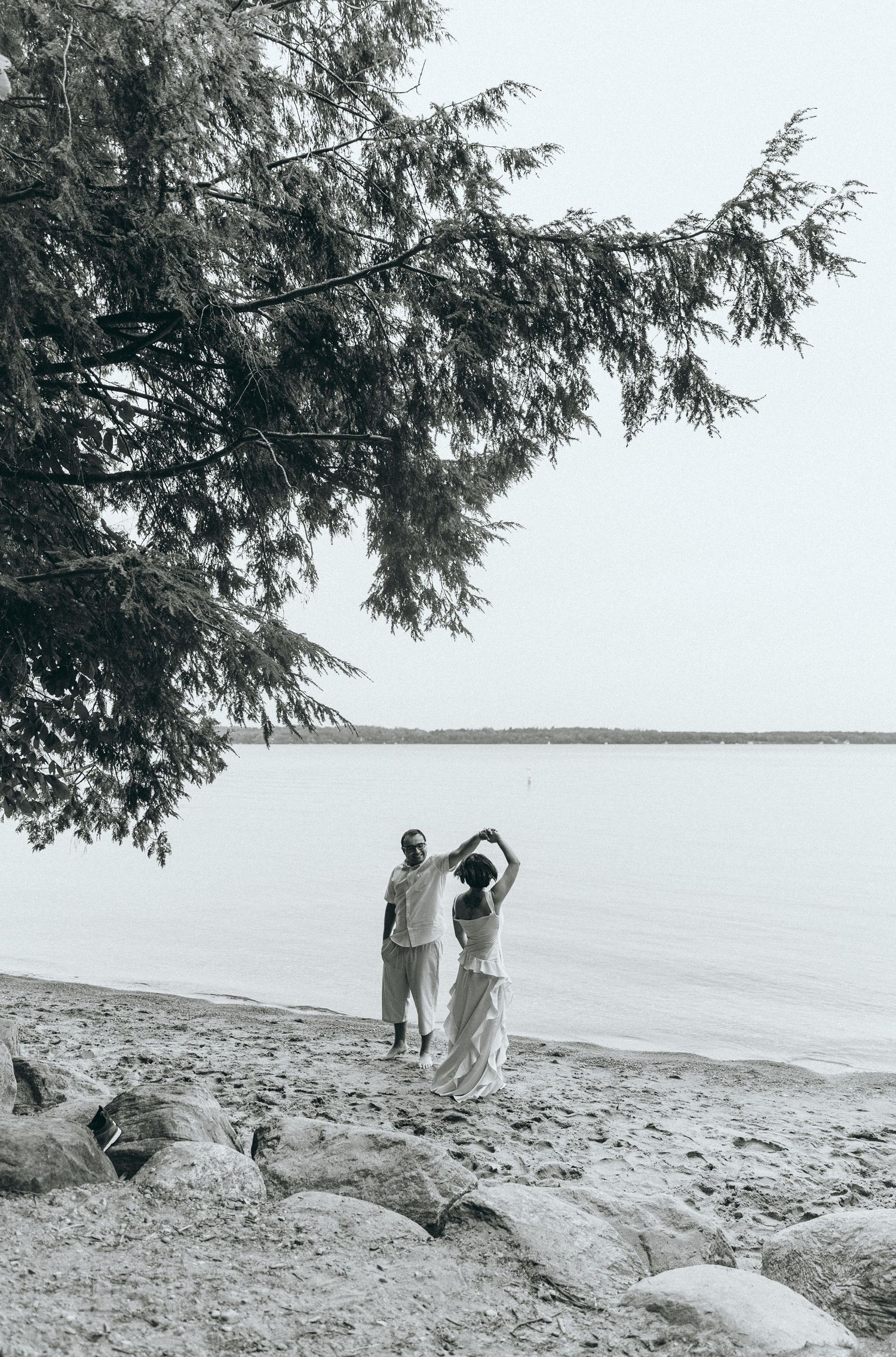 Silhouette of couple standing on rocky beach with overhanging pine tree.