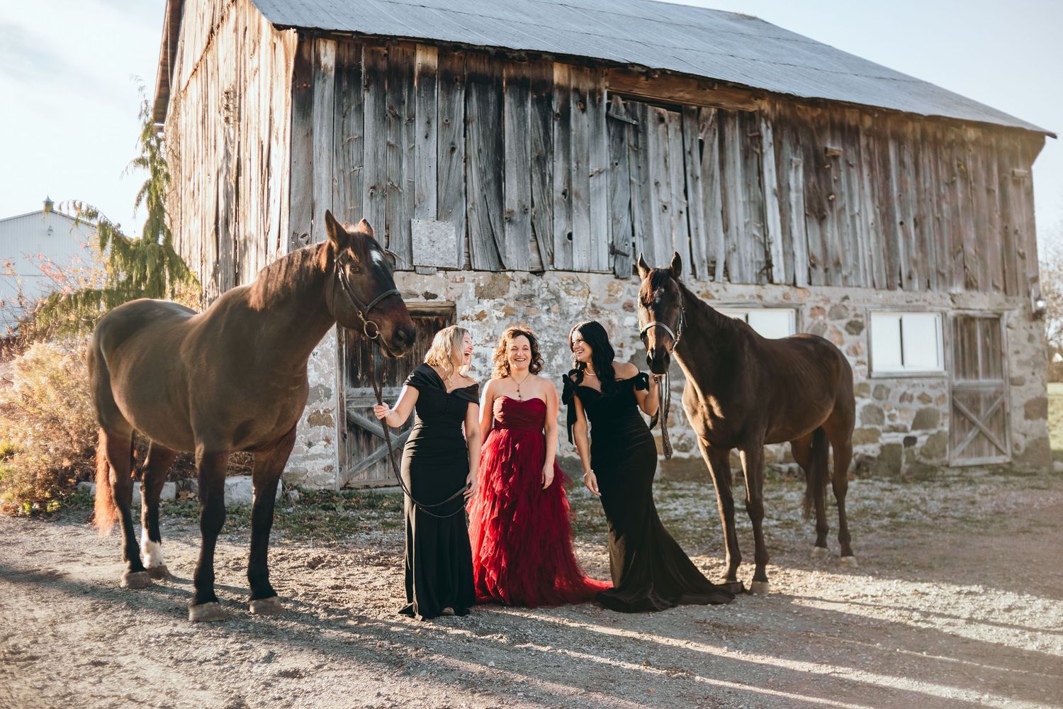 Three women in formal dresses pose with two majestic horses in front of a rustic wooden barn at sunset.