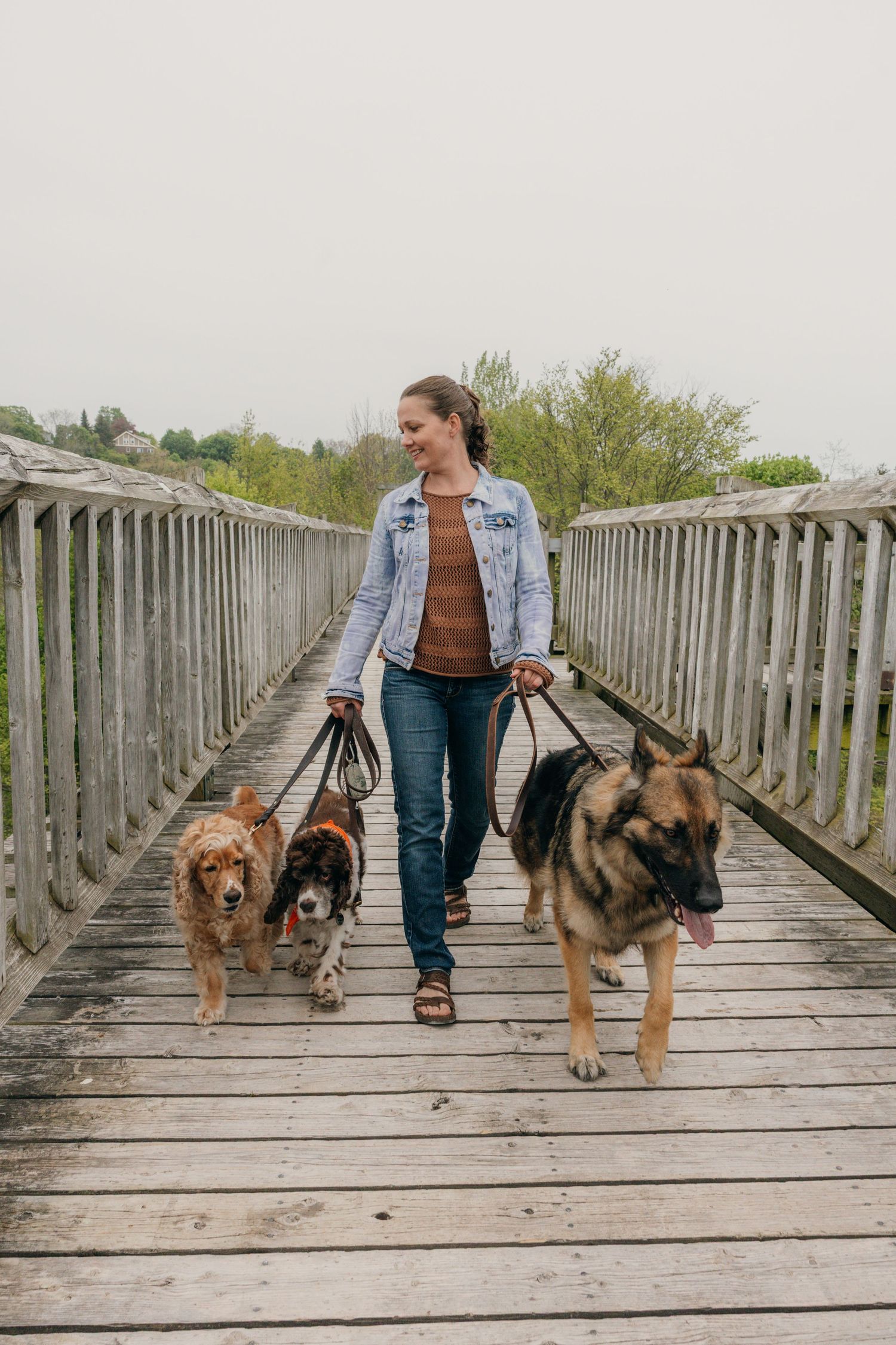 Woman in denim jacket walking three dogs on leashes across wooden bridge boardwalk.