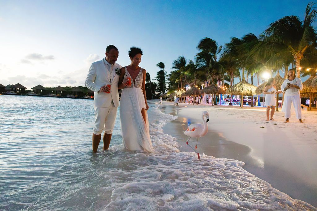 Bride and groom stand in shallow ocean waves at dusk with flamingo on tropical beach.