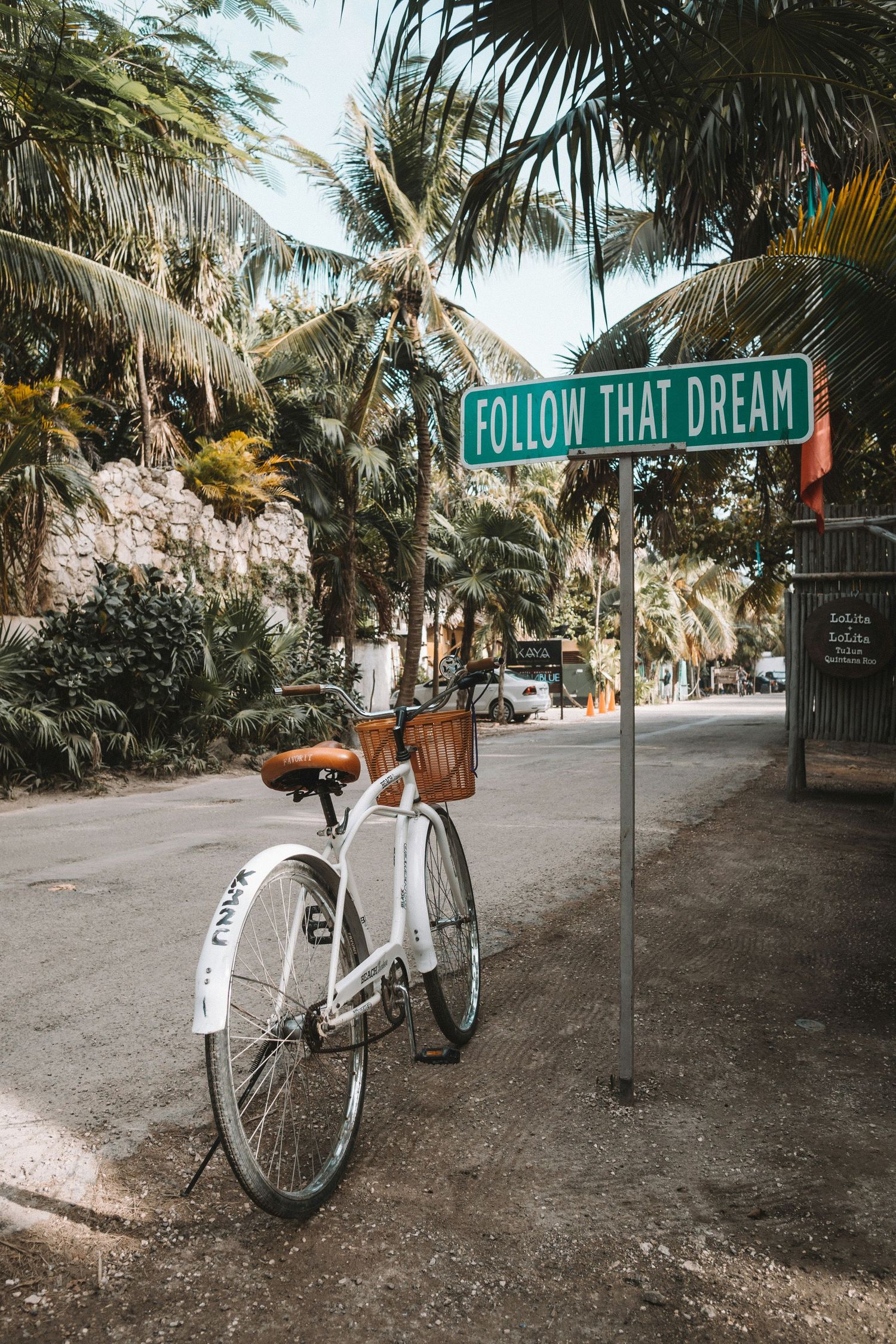 White bicycle parked under a green Follow That Dream street sign surrounded by tropical palm trees.