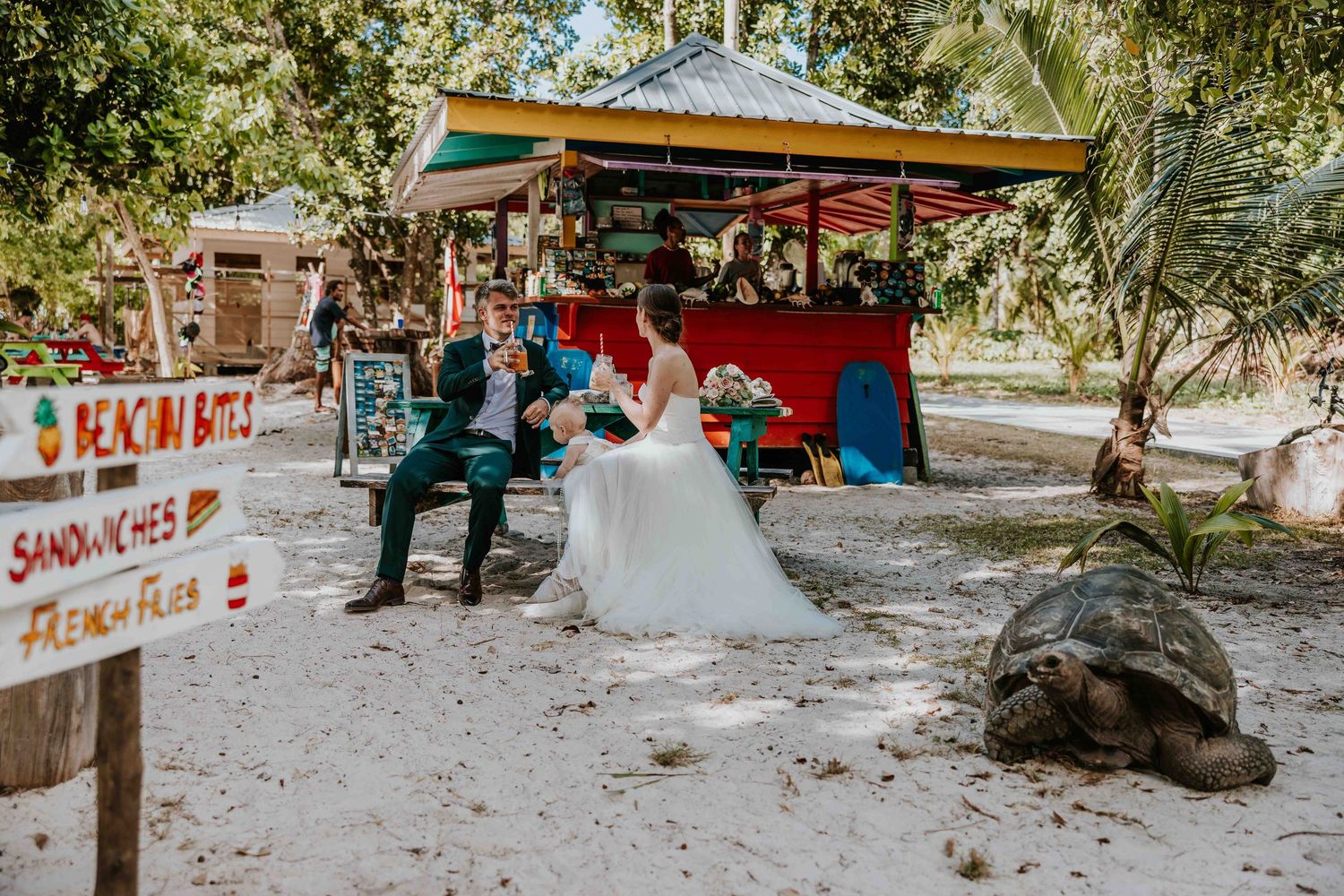 Wedding couple sits near a colorful beach shack beside a giant tortoise on a tropical island.