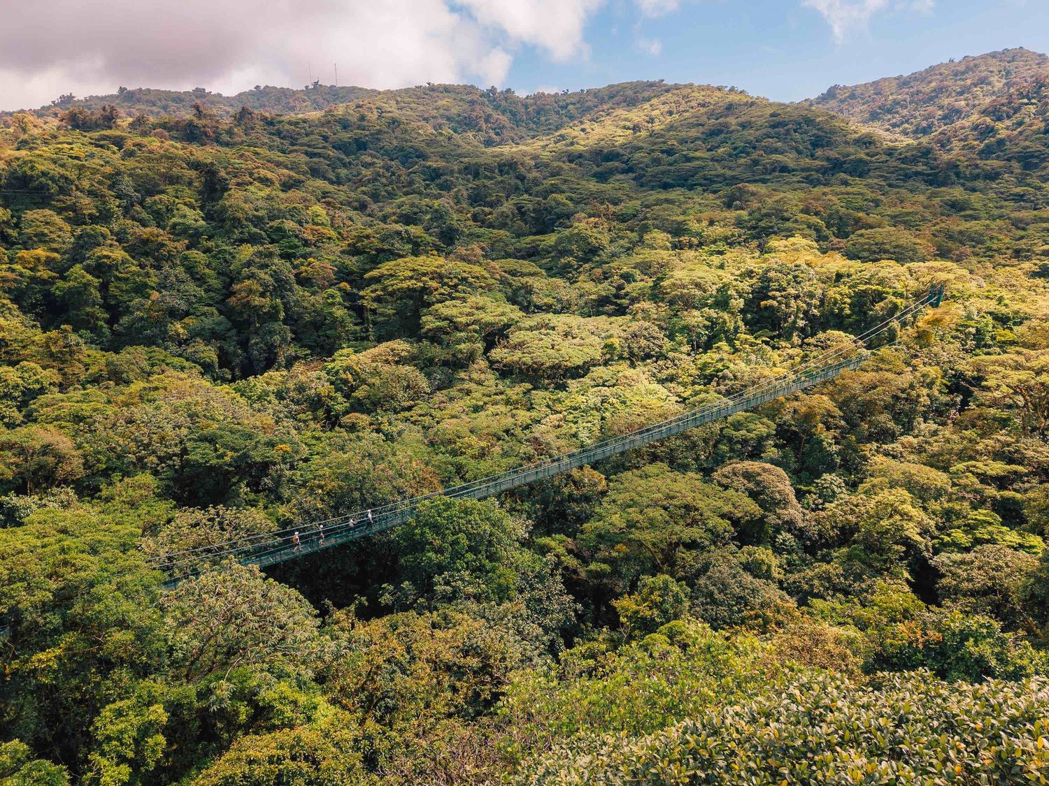 Aerial view of a suspension bridge nestled among lush green rainforest canopy on a misty mountain hillside.