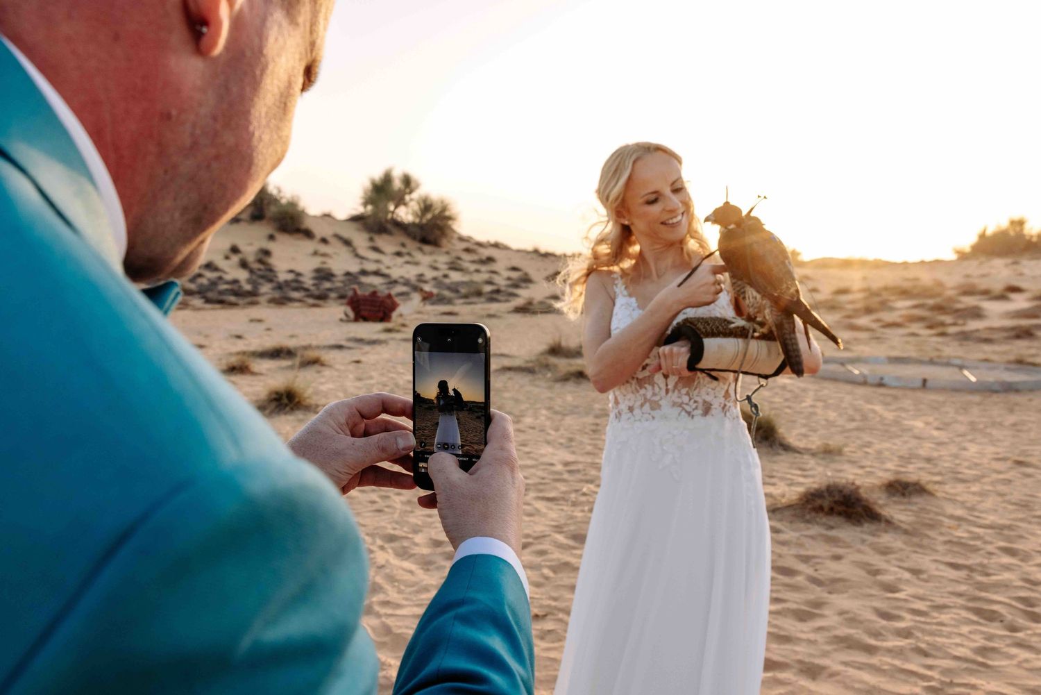 Groom in teal suit photographing bride holding a falcon on her arm at desert sunset.