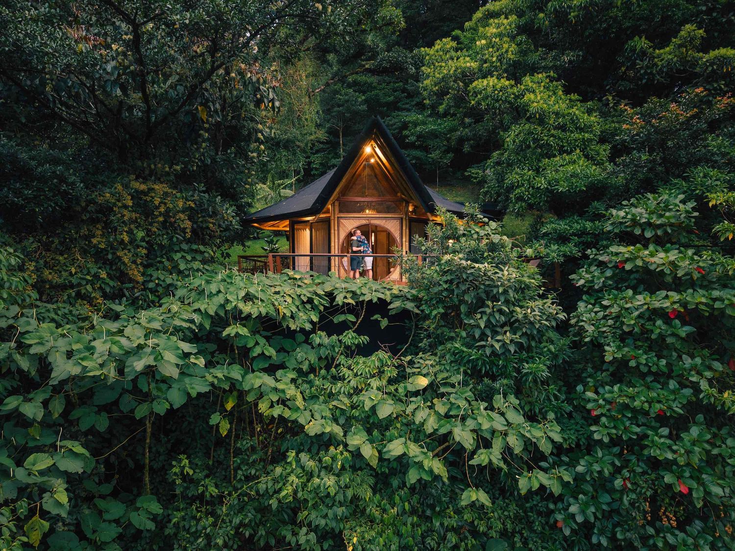 A cozy wooden cabin nestled among lush green tropical forest trees, glowing warmly at dusk.
